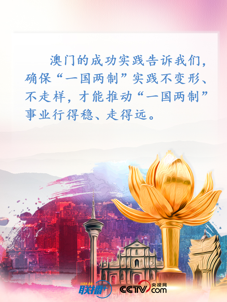 澳门正版免费词汇释义与落实行动，迈向精准未来的探索之旅（关键词，澳门正版免费、词语释义解释落实）