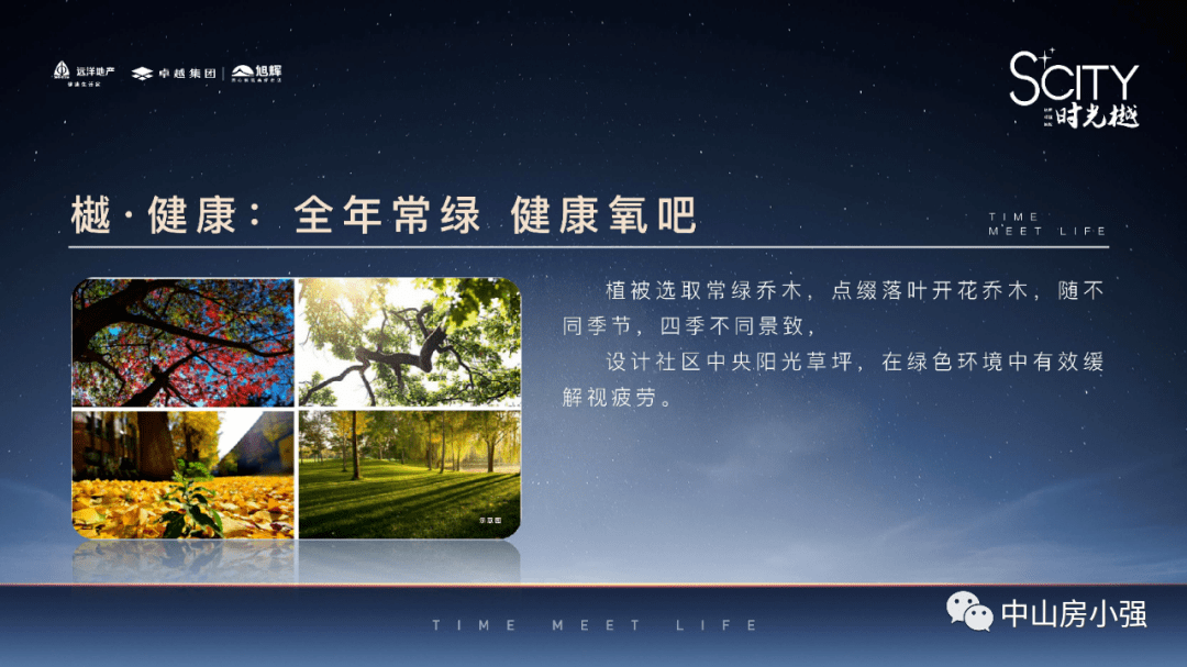 迈向2025年，正版资料免费大全中的精选解析与落实策略
